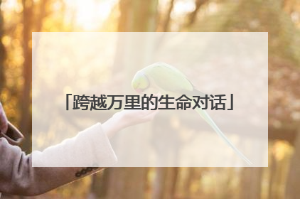 跨越万里的生命对话