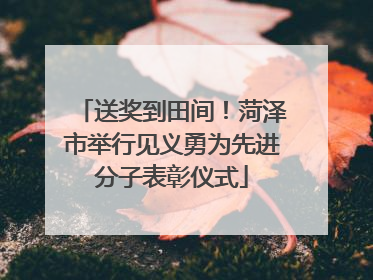 送奖到田间！菏泽市举行见义勇为先进分子表彰仪式