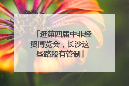 逛第四届中非经贸博览会，长沙这些路段有管制