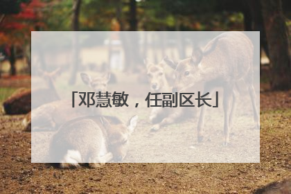 邓慧敏，任副区长