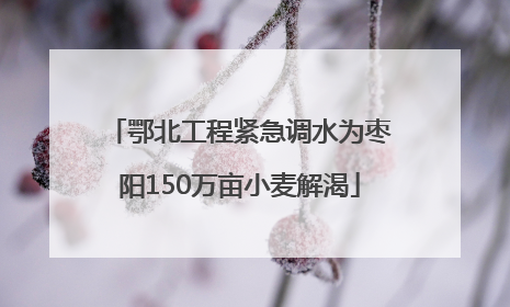 鄂北工程紧急调水为枣阳150万亩小麦解渴