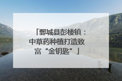 鄄城县彭楼镇：中草药种植打造致富“金钥匙”
