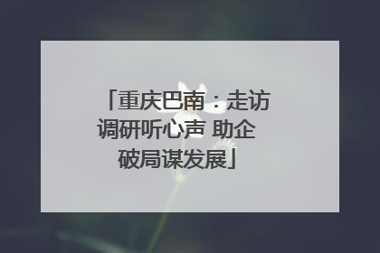 重庆巴南：走访调研听心声 助企破局谋发展