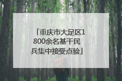重庆市大足区1800余名基干民兵集中接受点验