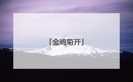 金鸡菊开