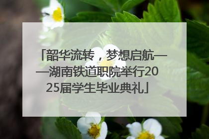 韶华流转，梦想启航——湖南铁道职院举行2025届学生毕业典礼