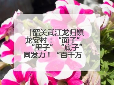 韶关武江龙归镇龙安村：“面子”“里子”“底子”同发力！“百千万工程”激活乡村新动能