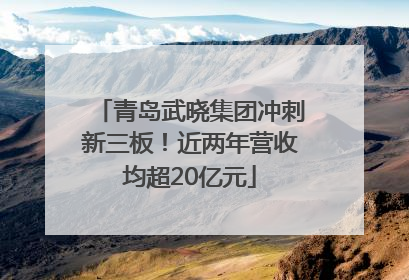 青岛武晓集团冲刺新三板！近两年营收均超20亿元