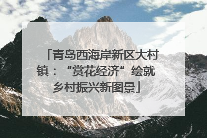 青岛西海岸新区大村镇：“赏花经济”绘就乡村振兴新图景