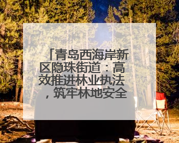 青岛西海岸新区隐珠街道：高效推进林业执法，筑牢林地安全屏障