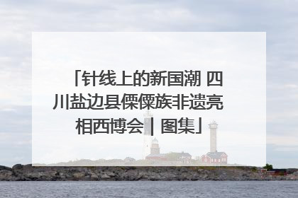 针线上的新国潮 四川盐边县傈僳族非遗亮相西博会｜图集