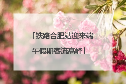 铁路合肥站迎来端午假期客流高峰