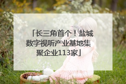长三角首个！盐城数字视听产业基地集聚企业113家