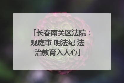 长春南关区法院：观庭审 明法纪 法治教育入人心
