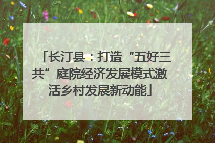 长汀县：打造“五好三共”庭院经济发展模式激活乡村发展新动能