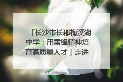 长沙市长郡梅溪湖中学：用雷锋精神培育高质量人才｜走进新时代“雷锋传人 长沙榜样”