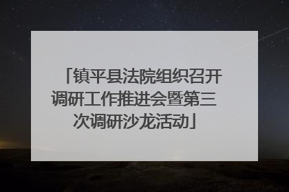 镇平县法院组织召开调研工作推进会暨第三次调研沙龙活动