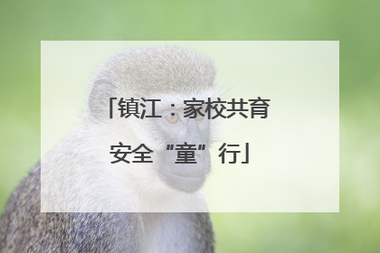 镇江：家校共育 安全“童”行