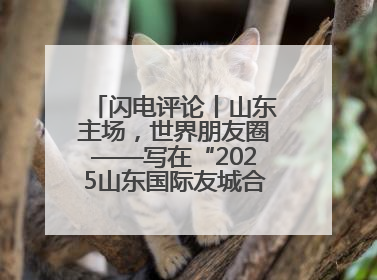 闪电评论丨山东主场，世界朋友圈——写在“2025山东国际友城合作交流周”之际