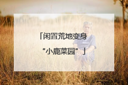 闲置荒地变身“小鹿菜园”