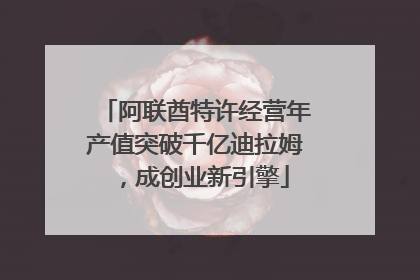 阿联酋特许经营年产值突破千亿迪拉姆，成创业新引擎