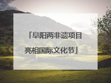 阜阳两非遗项目亮相国际文化节