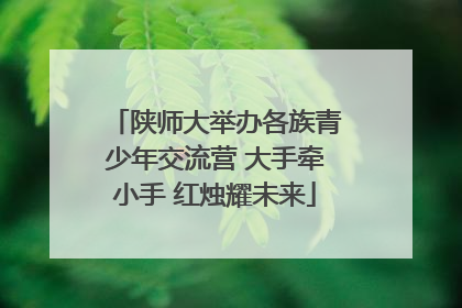 陕师大举办各族青少年交流营 大手牵小手 红烛耀未来