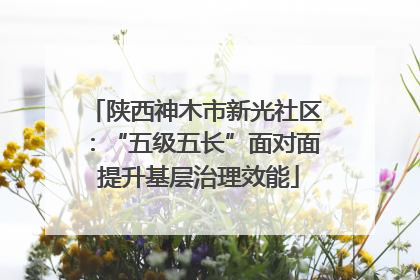 陕西神木市新光社区：“五级五长”面对面 提升基层治理效能