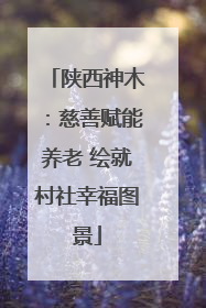 陕西神木：慈善赋能养老 绘就村社幸福图景