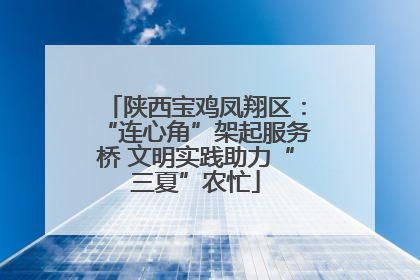 陕西宝鸡凤翔区：“连心角”架起服务桥 文明实践助力“三夏”农忙
