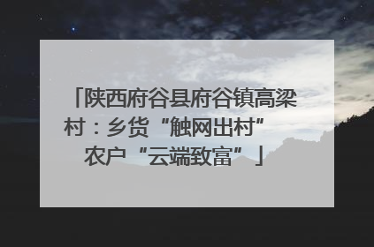 陕西府谷县府谷镇高梁村：乡货“触网出村” 农户“云端致富”