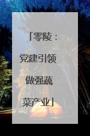 零陵：党建引领 做强蔬菜产业