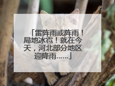 雷阵雨或阵雨！局地冰雹！就在今天，河北部分地区迎降雨……