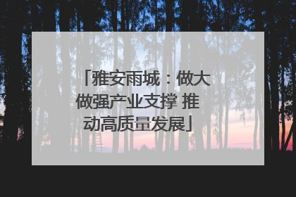 雅安雨城：做大做强产业支撑 推动高质量发展