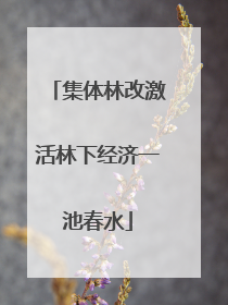 集体林改激活林下经济一池春水