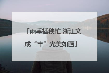 雨季插秧忙 浙江文成“丰”光美如画