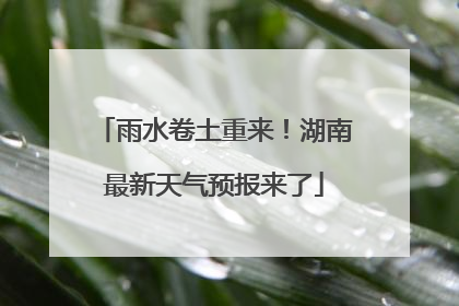 雨水卷土重来！湖南最新天气预报来了