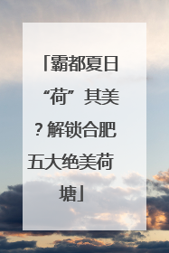 霸都夏日“荷”其美？解锁合肥五大绝美荷塘