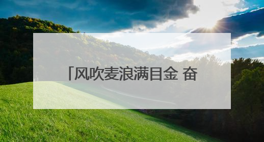 风吹麦浪满目金 奋战“三夏”抢收种