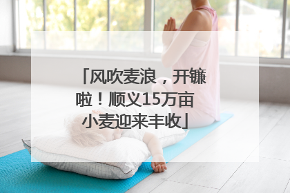风吹麦浪，开镰啦！顺义15万亩小麦迎来丰收