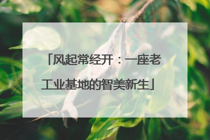 风起常经开：一座老工业基地的智美新生
