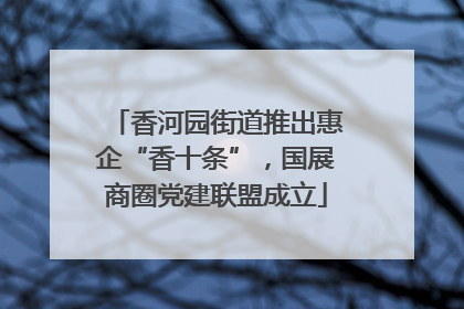 香河园街道推出惠企“香十条”，国展商圈党建联盟成立