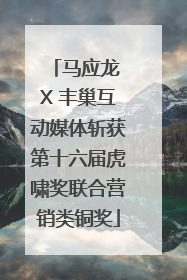 马应龙 X 丰巢互动媒体斩获第十六届虎啸奖联合营销类铜奖