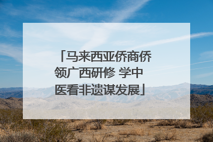 马来西亚侨商侨领广西研修 学中医看非遗谋发展