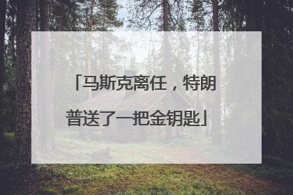 马斯克离任，特朗普送了一把金钥匙