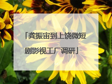 龚振宙到上饶微短剧影视工厂调研