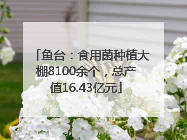 鱼台：食用菌种植大棚8100余个，总产值16.43亿元