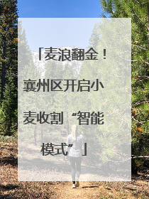 麦浪翻金！襄州区开启小麦收割“智能模式”