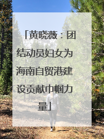黄晓薇：团结动员妇女为海南自贸港建设贡献巾帼力量