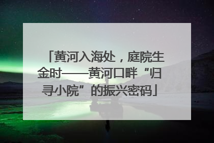 黄河入海处，庭院生金时——黄河口畔“归寻小院”的振兴密码